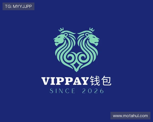 介绍VipPay钱包